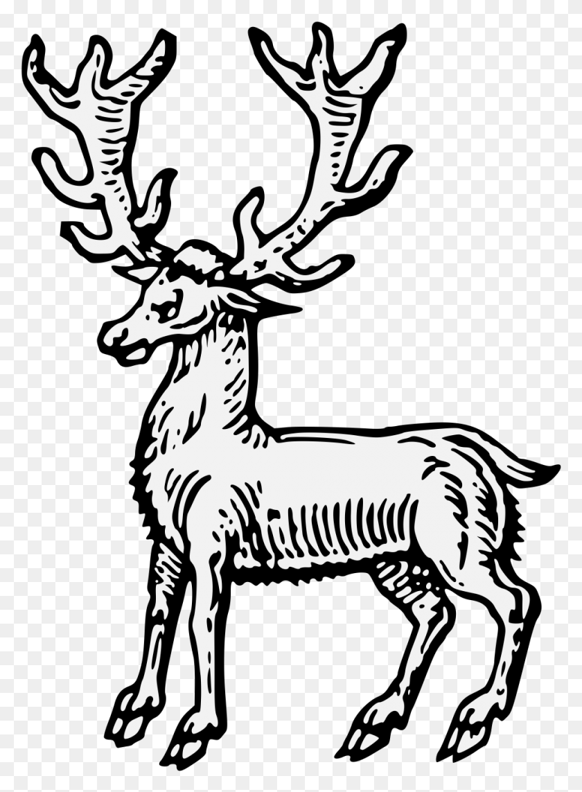 960x1333 Details Elk, Deer, Wildlife, Mammal HD PNG Download