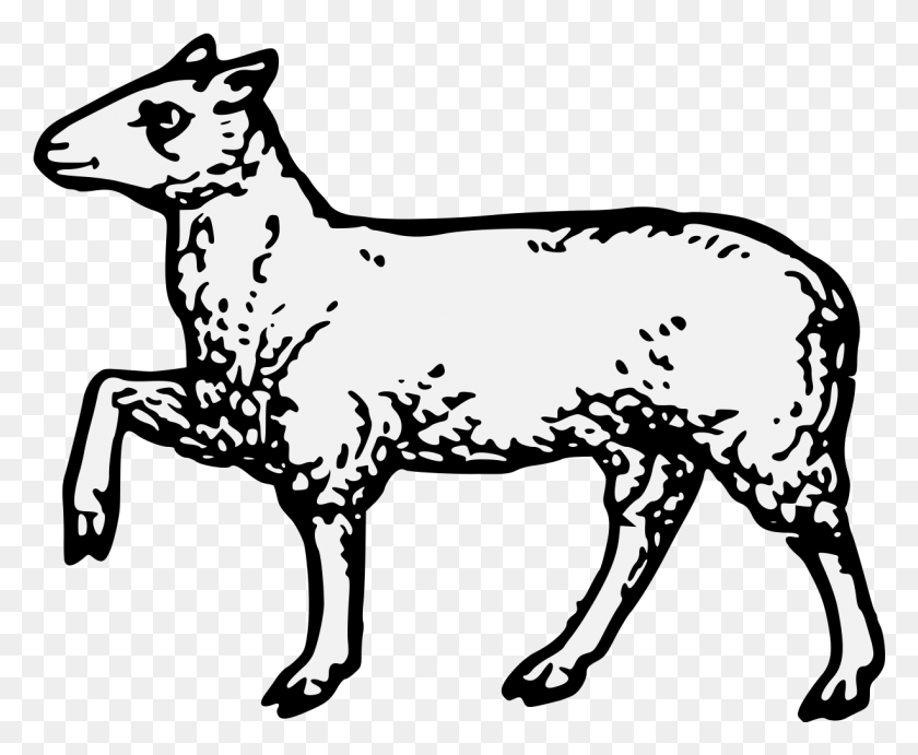 1227x994 Козы, Овцы, Млекопитающие, Животное Hd Png Скачать