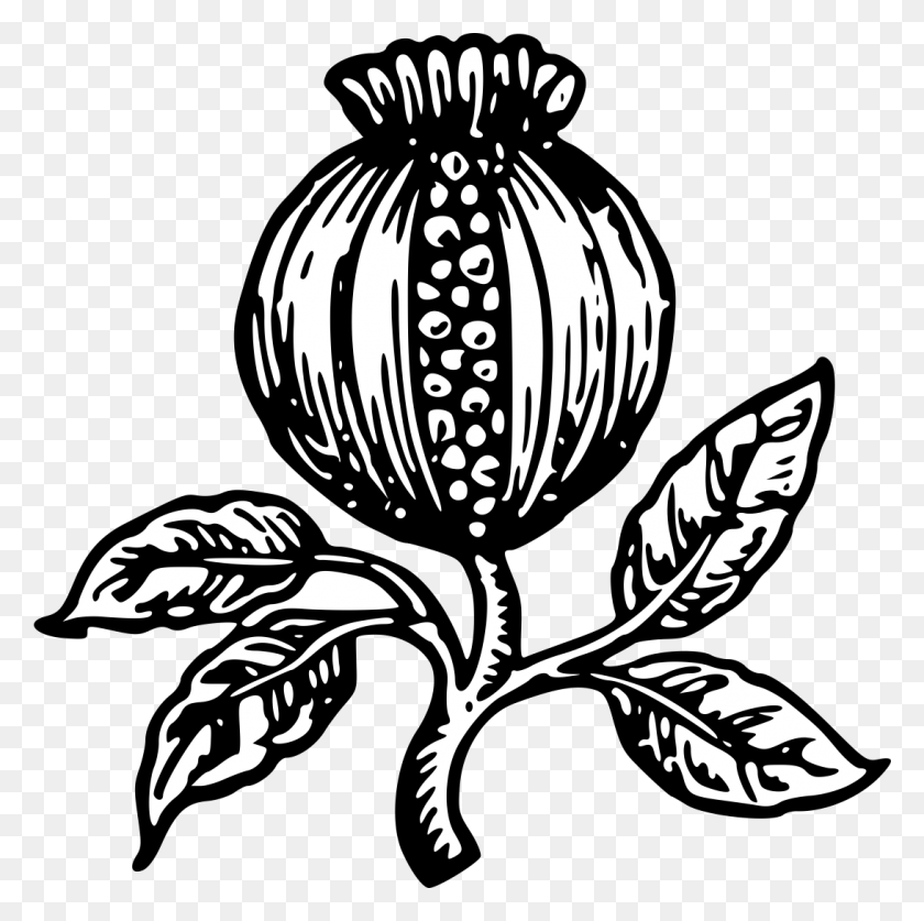 1091x1087 Details Pomegranate Heraldry, Plant, Flower, Blossom HD PNG Download