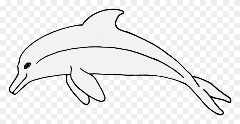 1445x697 Подробности Обыкновенный Дельфин С Коротким Клювом, Животное, Морская Жизнь, Млекопитающее Hd Png Скачать