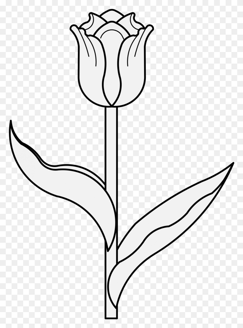 1078x1487 Details Tulip Clip Art, Plant, Flower, Blossom HD PNG Download
