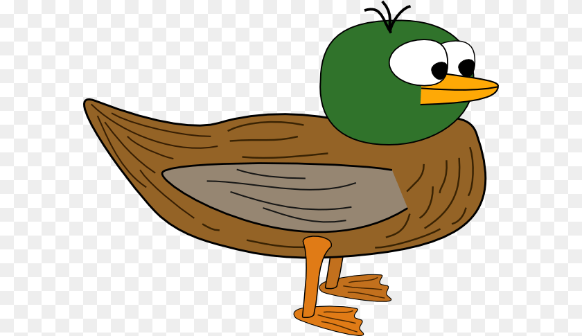Developmental Appropriate Practice Ignite Fire Is Catching, Animal, Beak, Bird, Anseriformes Sticker PNG