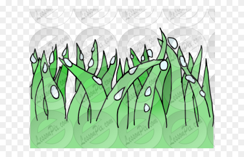 640x480 Dew Clipart, Plant, Produce, Food HD PNG Download