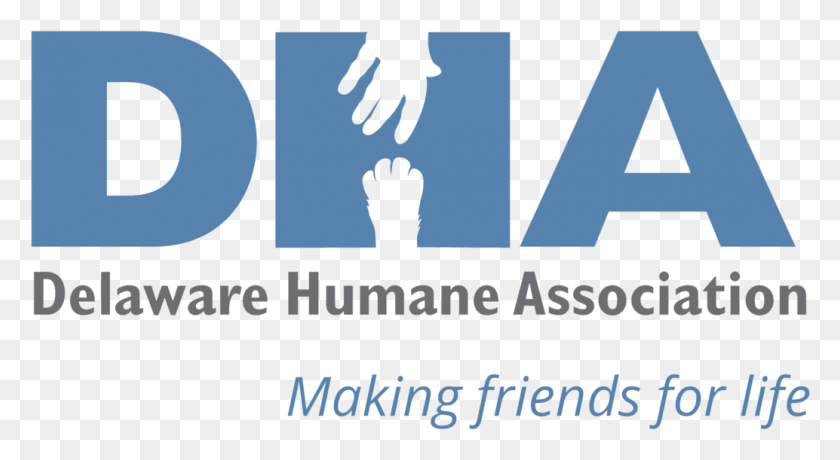 1034x531 Dha Logo Graphic Design, Person, Human, Text HD PNG Download