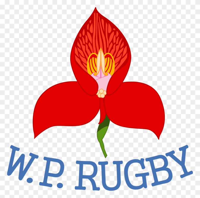 1033x1024 Descargar Pngdhl Western Province Logo By Peter Wiegand Dvm Western Province Rugby Logo, Planta, Flor, Flor Hd Png