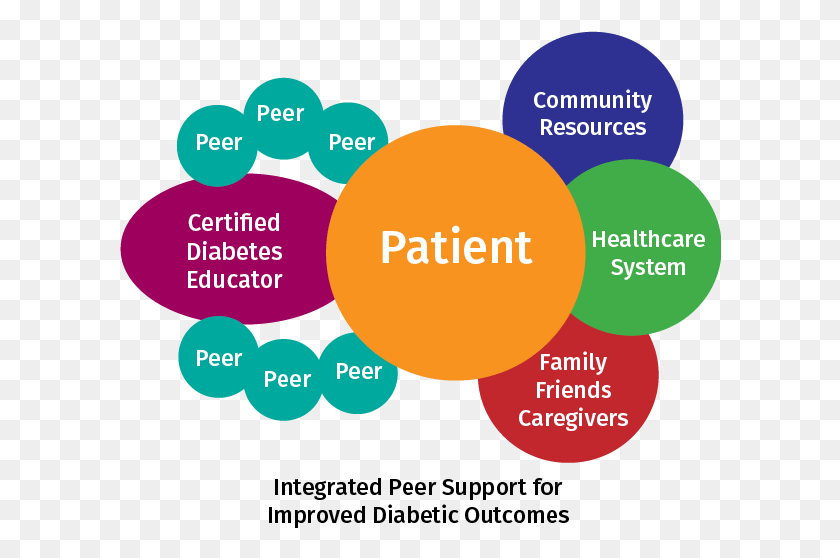 602x498 Diabetes Patients Will Develop Diabetes Distress Peer Support Diabetes, Diagram, Purple, Text HD PNG Download