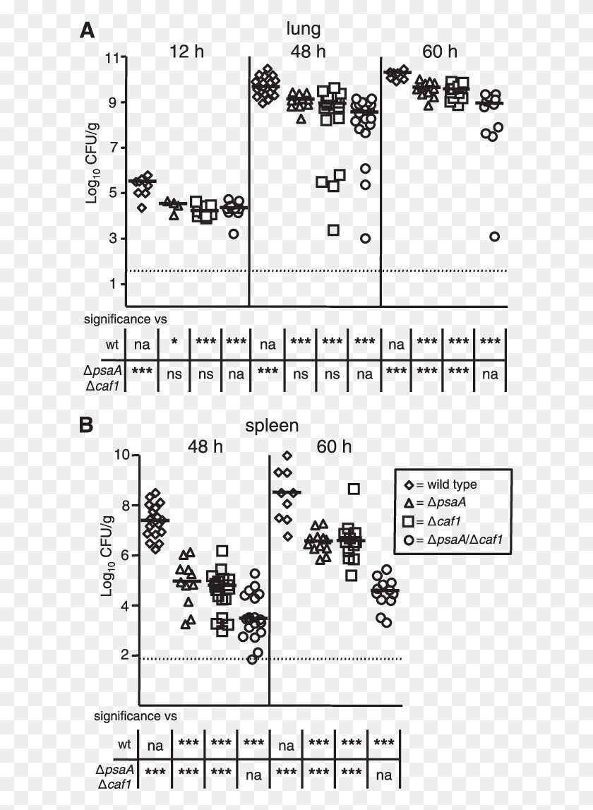 614x1087 Diagram, Plot, Number, Symbol HD PNG Download