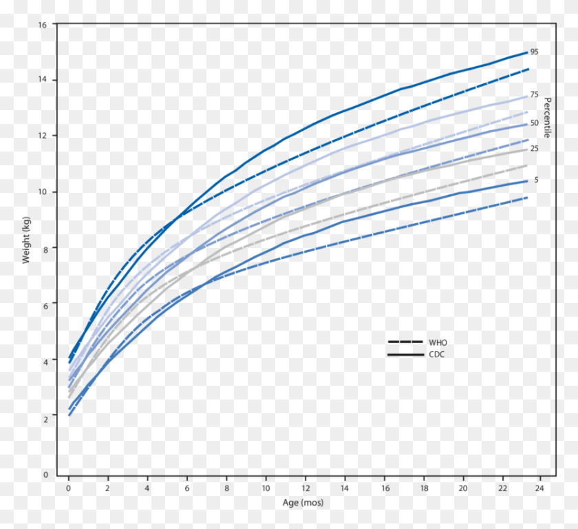 838x761 Diagram, Mixer, Appliance, Plot Descargar Hd Png