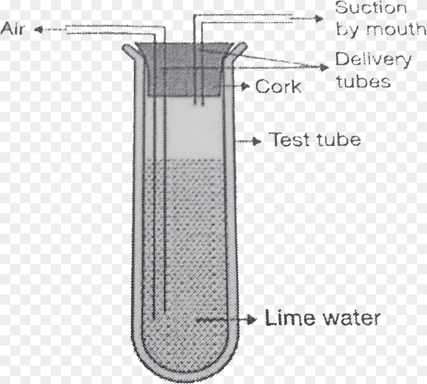 1257x1132 Diagram, Water Clipart PNG