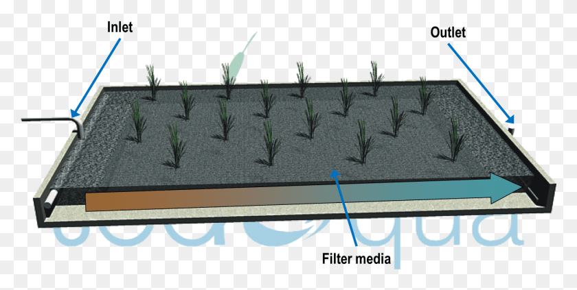 1351x629 Diagram Of A Horizontal Flow Wetland Barbed Wire, Plant, Text, Soil HD PNG Download