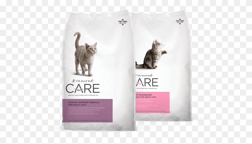 676x422 Diamond Care For Cats Cat, Pet, Mammal, Animal HD PNG Download