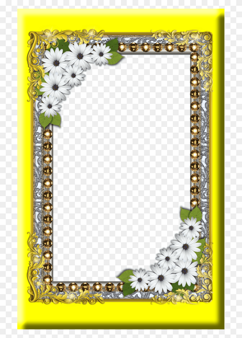 719x1112 Diamond Frame Picture Frame, Plant, Rug, Flower HD PNG Download