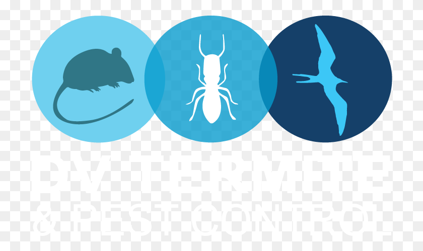 718x439 Diamond Valley Termite And Pest Control Emblem, Invertebrate, Animal, Poster HD PNG Download