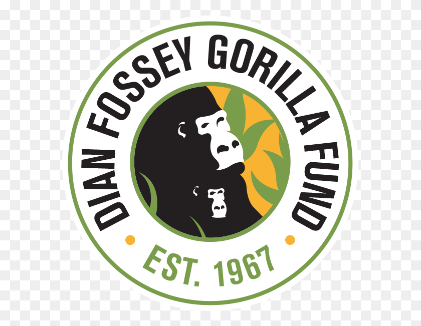 591x591 Descargar Pngdian Fossey Gorilla Foundation, Dian Fossey Foundation, Logotipo, Texto, Símbolo Hd Png