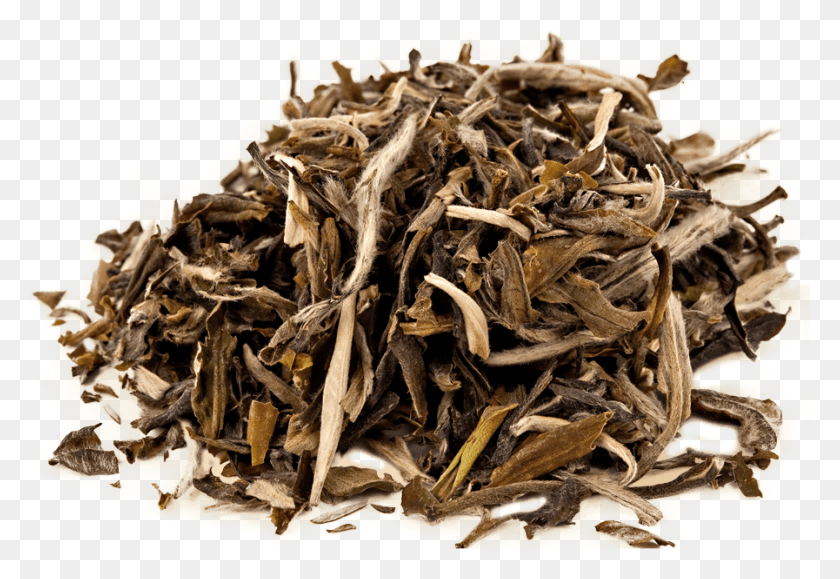897x597 Dianhong Tea, Wood, Fungus, Tobacco HD PNG Download