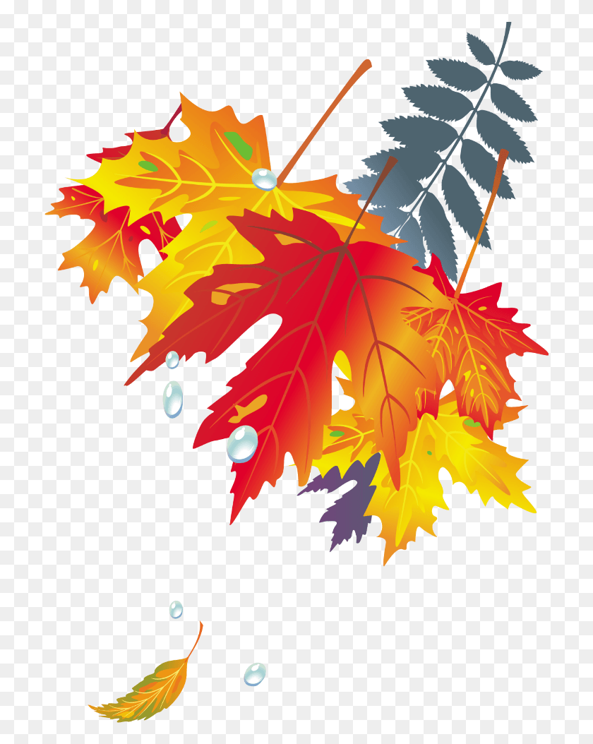 715x994 Dibujo De Hojas De Плакат Осенние Листья, Лист, Растение, Дерево Hd Png Скачать