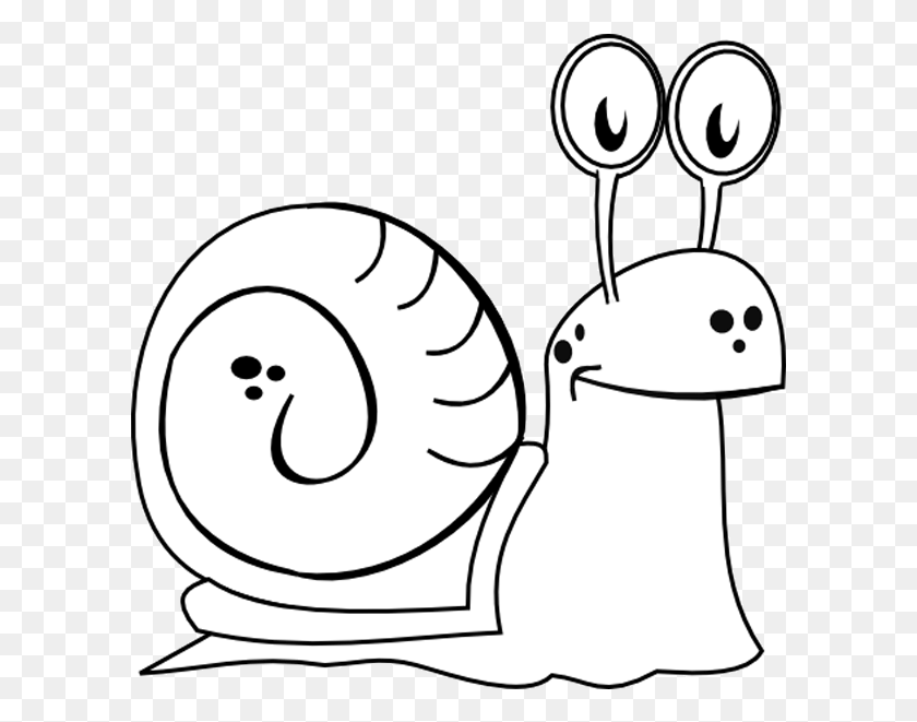 601x601 Dibujo De Un Caracol Illustration, Animal, Sea Life, Snail HD PNG Download