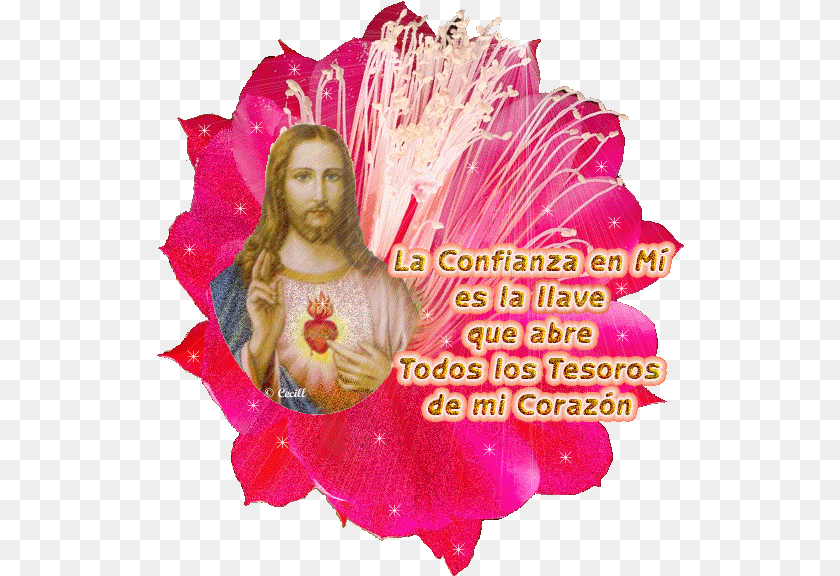 528x576 Dibujo Para Colorear Flores San Valentn Img Sacred Heart Of Jesus, Plant, Petal, Flower, Woman Sticker PNG