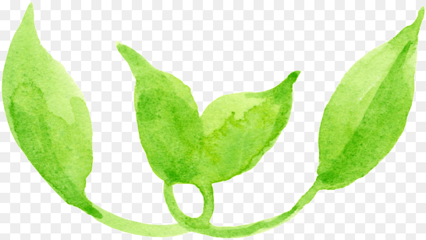 Dibujos Animados De Transparente Hoja De Serpentina Leaf, Plant, Herbal, Herbs, Animal PNG