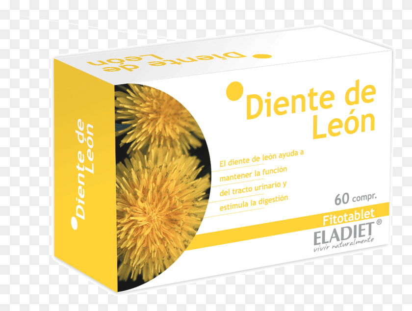 1064x783 Diente De Leon Eladiet, Paper, Flyer, Poster HD PNG Download