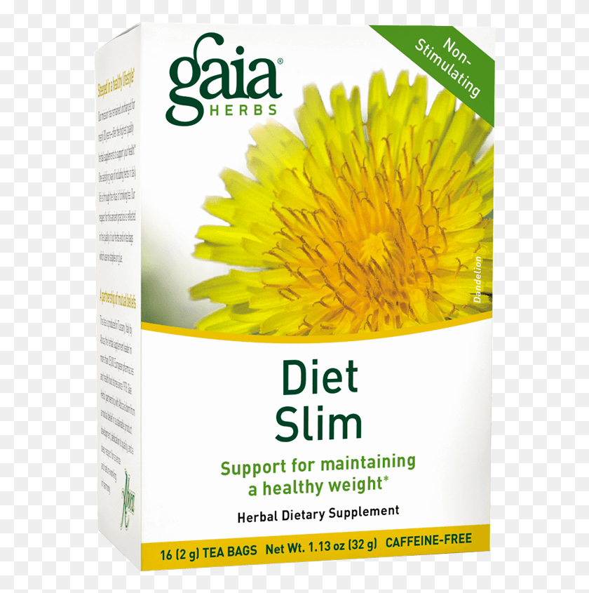 574x785 Diet Slim Tea Bronchial Wellness, Plant, Text, Flower HD PNG Download