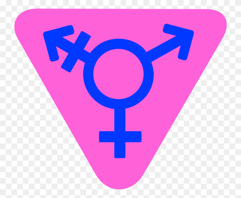 740x630 La Diferencia Entre Transgénero Y Transexual Una Lucha Pegan Juntos, Plectro, Corazón, Símbolo Hd Png