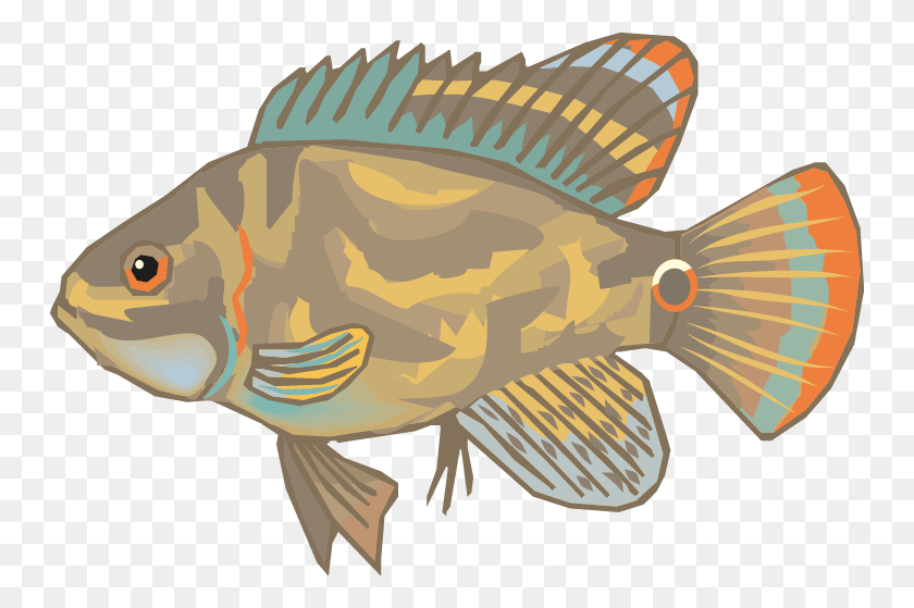 748x499 Разные Рыбы Вектор Набор Pomacentridae, Животные, Окунь, Треска Hd Png Скачать