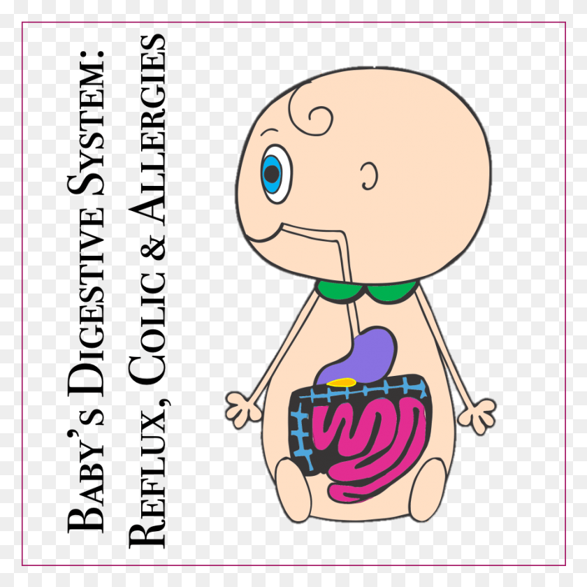 889x889 Digestive System Amp Reflux Cartoon, Rattle, Label, Text HD PNG Download