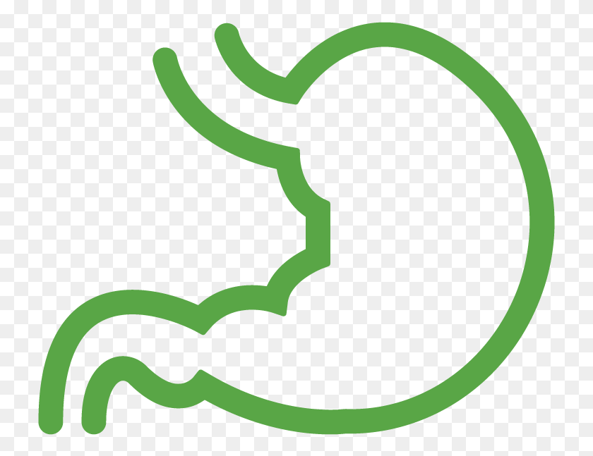 733x587 Digestive System Aromatherapy Remedy Stomach Outline, Animal, Wildlife, Amphibian HD PNG Download