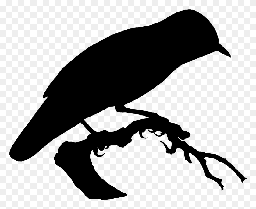1423x1145 Digital Bird Silhouette Downloads Clip Art, Nature, Outdoors, Astronomy HD PNG Download