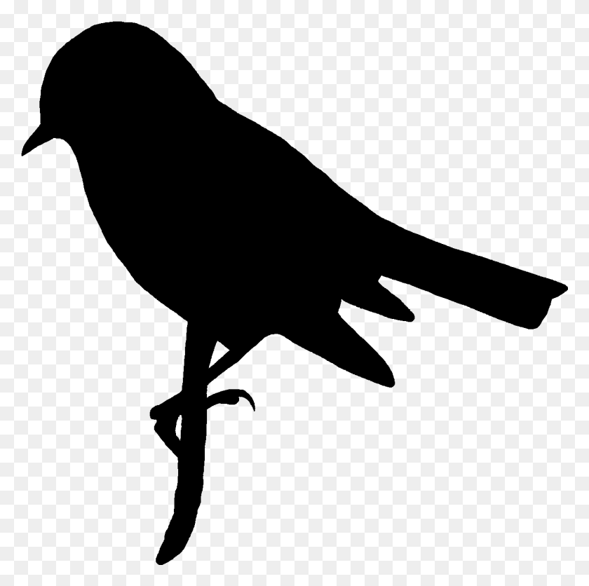 1274x1269 Digital Bird Silhouette Downloads Crow, Nature, Outdoors, Astronomy HD PNG Download