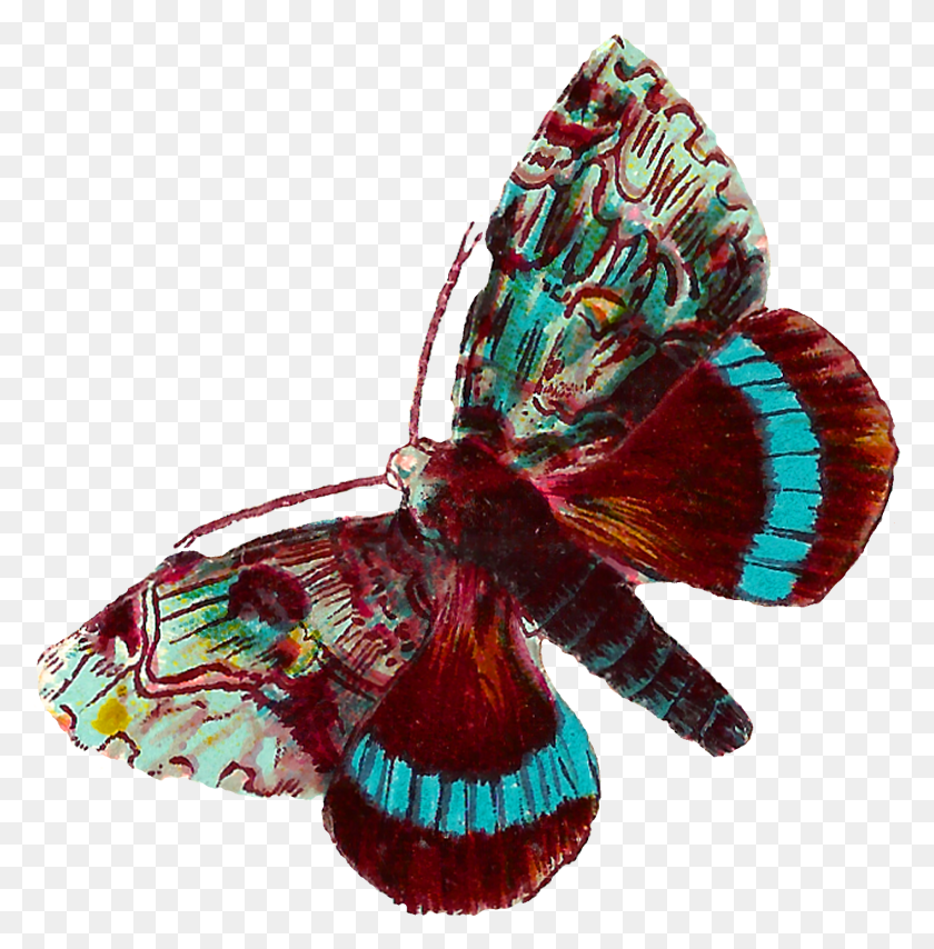 1413x1440 Descargar Png Digital Mariposa Polilla Clip Art Descargas Cepillo Patas Mariposa, Insecto, Invertebrado, Animal Hd Png