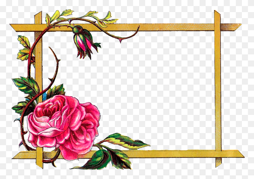 1331x909 Digital Clipart Craft Rose Border, Plant, Flower, Blossom Descargar Hd Png
