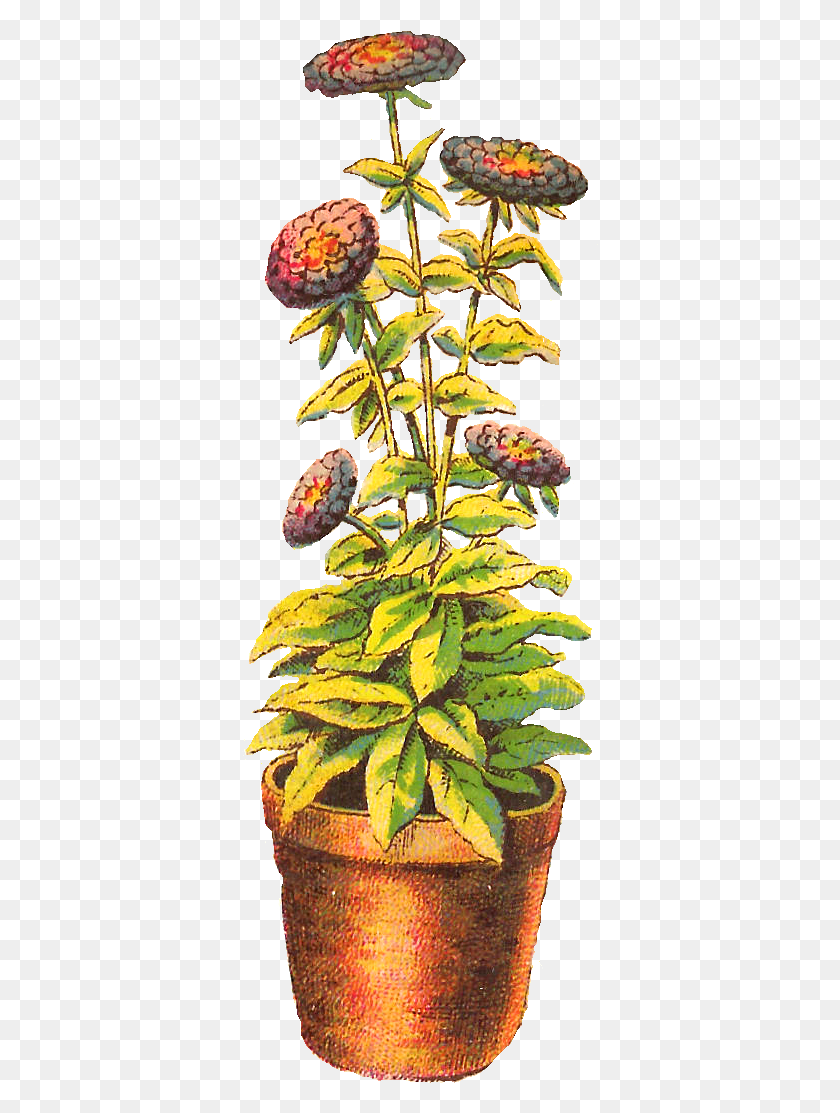 357x1053 Цифровое Цветочное Комнатное Растение, Ананас, Растение, Еда Hd Png Скачать