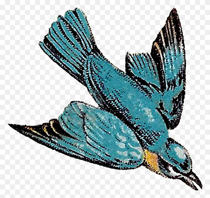 1240x1168 Цифровые Рисунки Летающих Птиц Загрузки Голубая Сойка Летающий Рисунок, Птица, Животное, Голубая Сойка Png Скачать