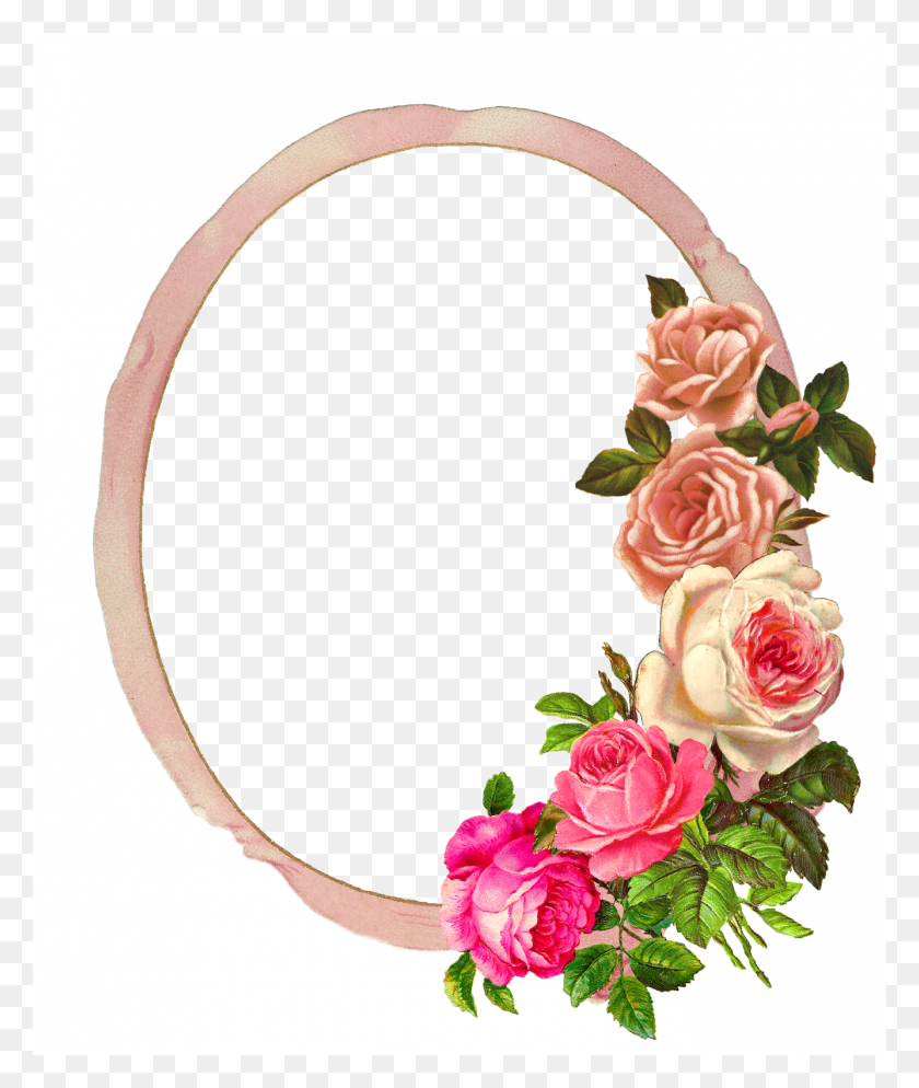 1335x1600 Digital Rose Frame Rose Flower Border, Floral Design, Pattern, Graphics HD PNG Download