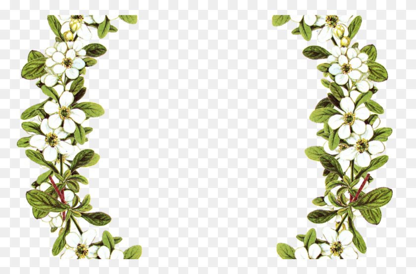 1350x856 Digital Vintage Flower Frame Oval Flower Frames, Plant, Leaf, Blossom HD PNG Download