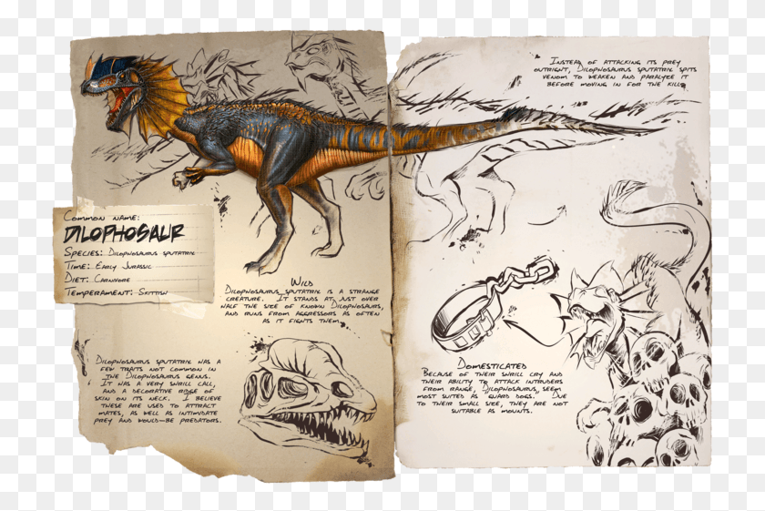 727x501 Дилофозавр, Ковчег, Выживание, Эволюция, Дилофозавр, Животное, Динозавр, Рептилия, Hd Png Скачать