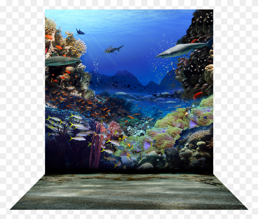 997x838 Dimensional View Of Painting, Water, Aquatic, Nature Descargar Hd Png
