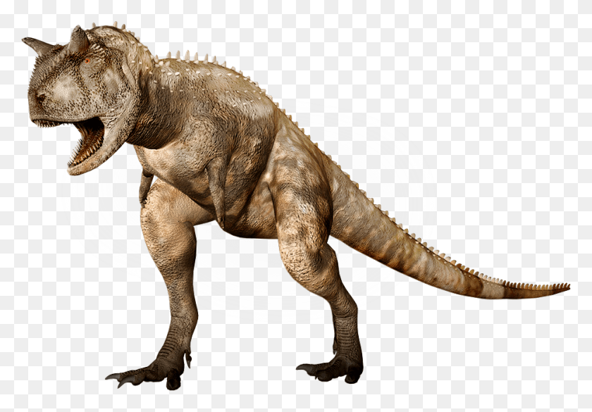 938x632 Динозавр, Тираннозавр, Рептилия, Животное Hd Png Скачать