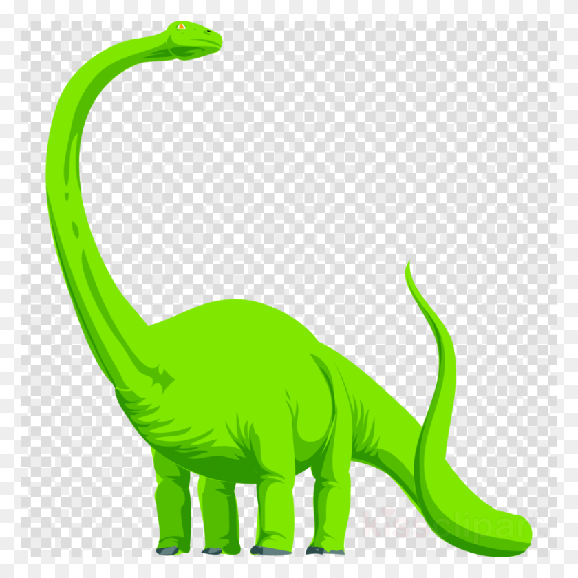 900x900 Клипарт Динозавров Трицератопс Апатозавр Тираннозавр Африканские Серые Попугаи, Рептилия, Животное, Тираннозавр Hd Png Скачать