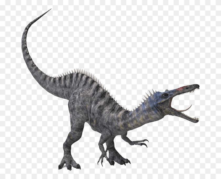 679x620 Динозавр Панда Бесплатные Изображения Динозавр Рисунок Барионикс Белый, Рептилия, Животное, Тираннозавр Png Скачать
