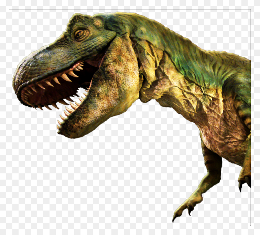 1500x1346 Dinosaurio, Dinosaurio, T-Rex, Reptil, Animal Hd Png