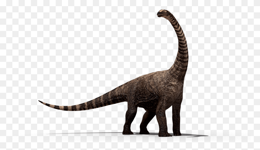 1921x1048 Descargar Png / Dinosaurio Dinosaurio, Reptil, Animal, T-Rex Hd Png