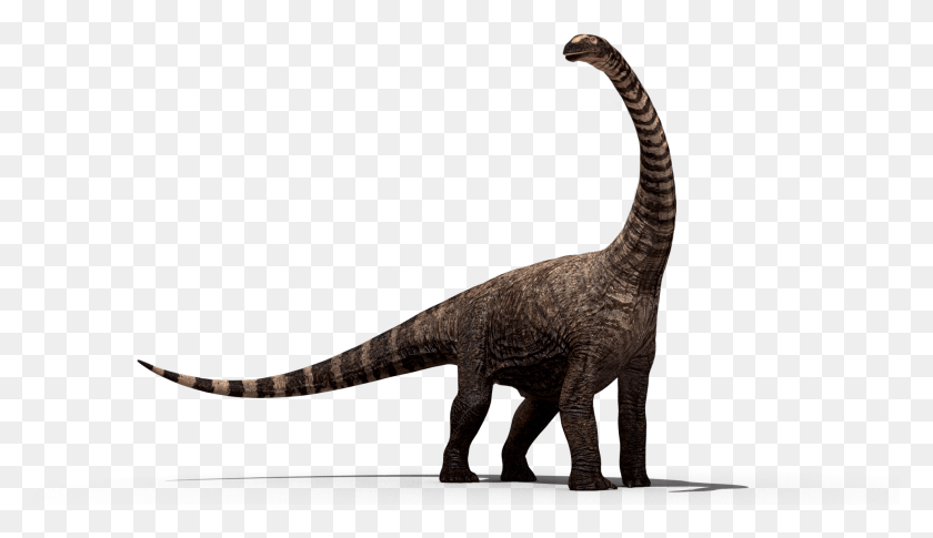 1921x1048 Dinosaur Dinosaurs, Reptile, Animal, T-rex HD PNG Download