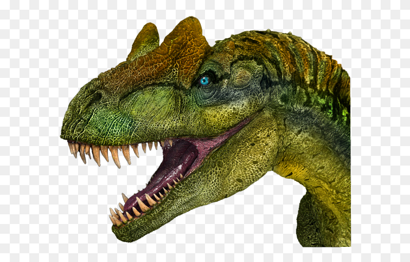 600x478 Descargar Png Cabeza De Dinosaurio Feroz Freetoedit Allosaurus, Lagarto, Reptil, Animal Hd Png