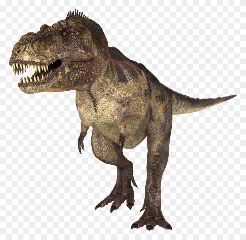 2731x2665 Imagenes De Dinosaurios En De Dinosaurios Hd Png Download