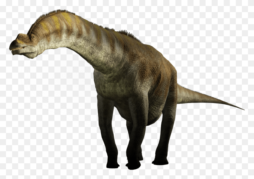 1075x734 Dinosaur In Argentinosaurus, Reptile, Animal, T-rex HD PNG Download