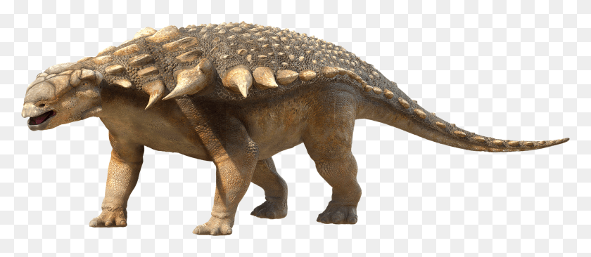 1866x733 Descargar Png / Dinosaurio, Reptil, Animal, T-Rex Hd Png