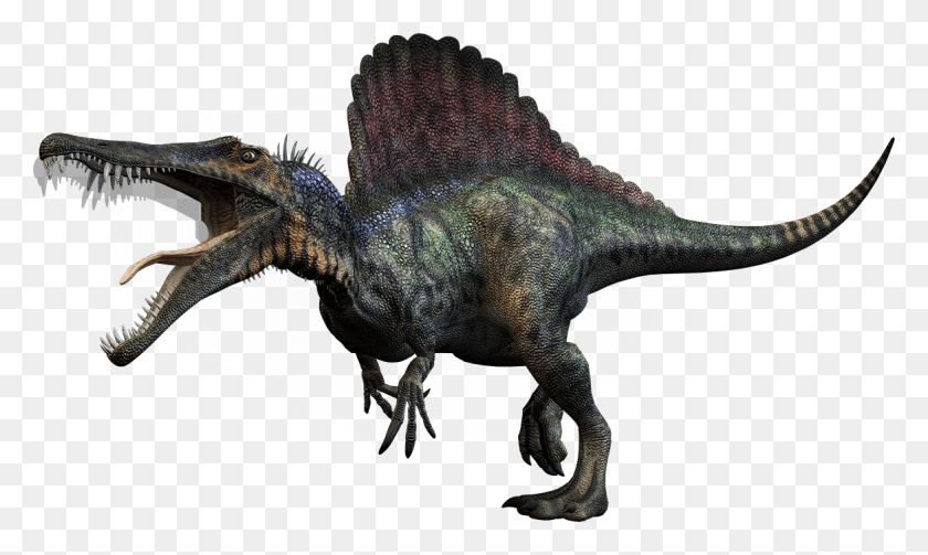 1171x666 Динозавр Картинка На Прозрачном Фоне Динозавр, Рептилия, Животное, Тираннозавр Png Скачать